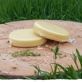 Kars Göbek Kaşarı (1KG)